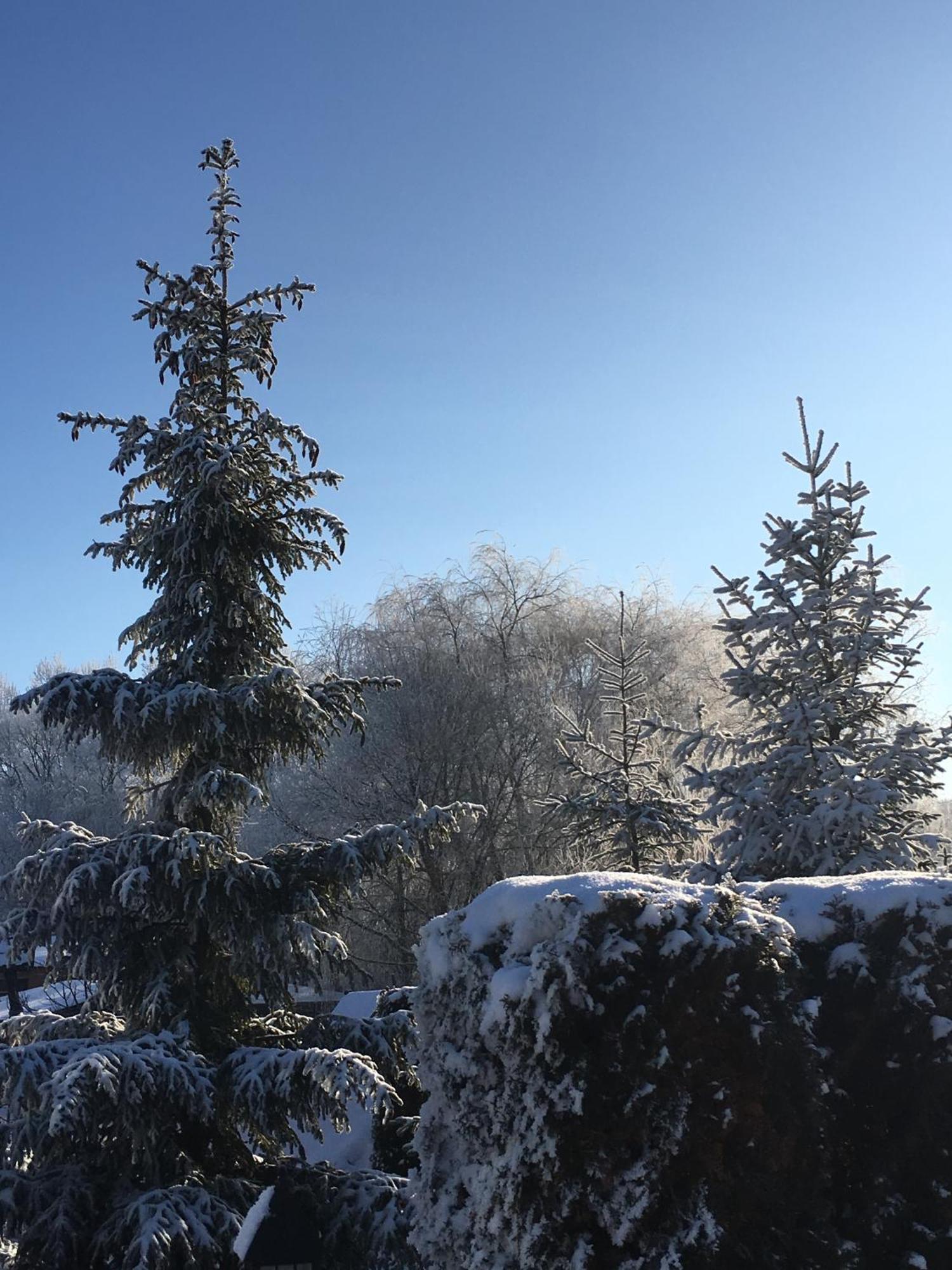 Отель Фільварок Кмитів Velyki Kosharishcha Экстерьер фото
